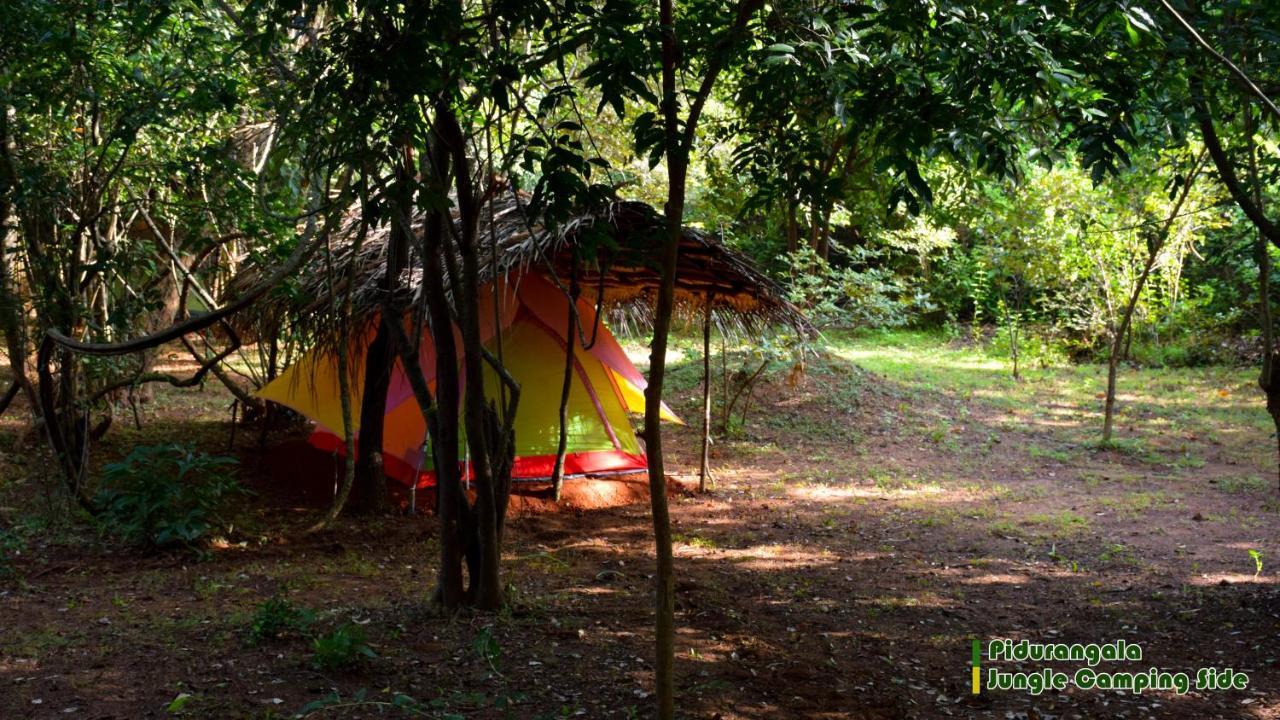 Sigiri Jungle Camping Hotel Sigiriya Buitenkant foto