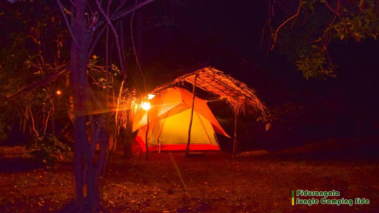 Sigiri Jungle Camping Hotel Sigiriya Buitenkant foto